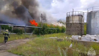 Опубликованы кадры крупного пожара в магазине стройматериалов в Самарской области 