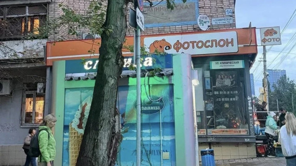 В Самаре возбуждено уголовное дело после падения дерева на 13-летнюю девочку