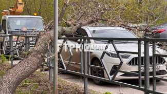 Появились кадры последствий штормового ветра в Самаре 27 апреля 