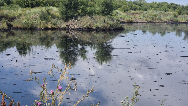 В Самарской области продолжится очистка озера Мазутное