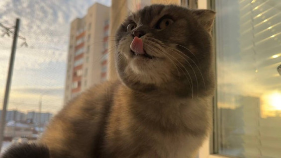 Эксперты прогнозируют резкий рост цен на новостройки в Самаре 