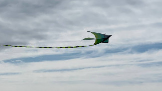 Оранжевый уровень опасности ввели в Самарской области на 19 августа