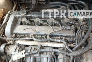 В Самаре автовладельцы жалуются на нашествие крыс у Кировского рынка