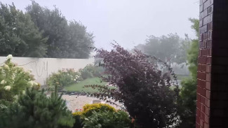 На Самарскую область надвигается сильнейший ветер 6 сентября