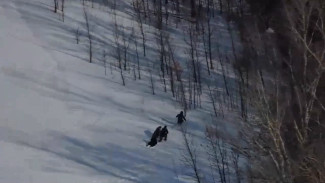 5 обнаруженных в Самарской области при помощи БПЛА мигрантов-нарушителей выдворят из страны