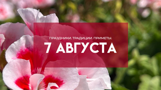 Самый страшный грех 7 августа: почему в день Анны Летней нельзя торговаться и есть мясо