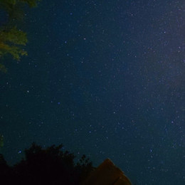 Астрофотограф объяснила, как отличить спутник Starlink от падающей звезды