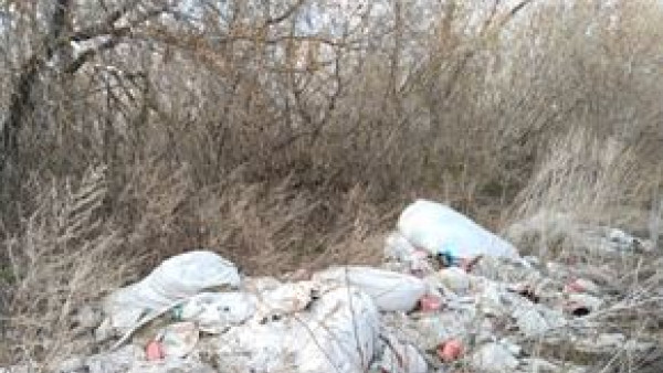 Россельхознадзор заставил "КуйбышевАзот" убрать несанкционированную свалку с сельхозугодий