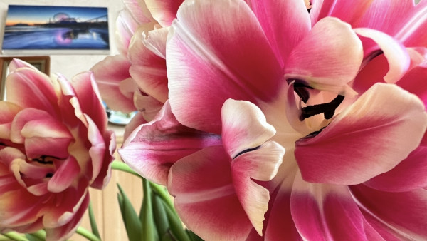 Гороскоп на 24 марта 2024 года: астрологи рассказали, кого ждет опасный день