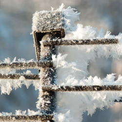 В Самарской области ударят морозы до -26 градусов