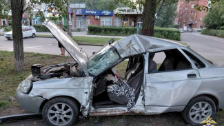 В Тольятти 20-летний водитель LADA Priora врезался в дерево