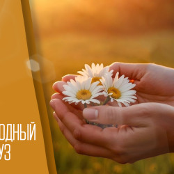 Праздник весны Навруз 2026: что категорически нельзя делать 21 марта