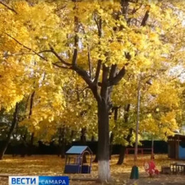 В Самаре готовят к запуску новый модульный корпус детского сада № 249