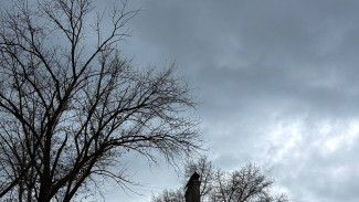 В Самарской области 11 часов продолжалась угроза атаки БПЛА