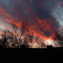 Ночью с 15 на 16 ноября объявлена повторная опасность массовой атаки БПЛА в Самарской области