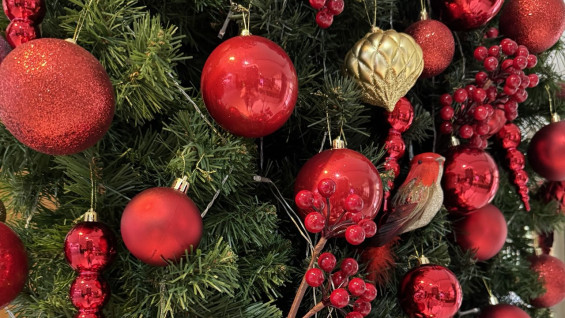 Самарцы, осторожно: как "гадалки" пытаются обмануть на Рождество