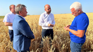 Глава региона Вячеслав Федорищев поручил подготовить предложения по усилению мер поддержки сельхозпроизводителей