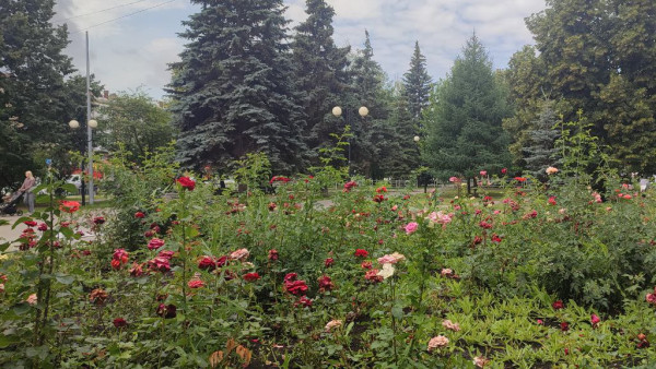 В Самаре 2 июля будут идти дожди