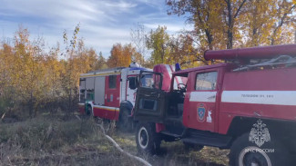 В Тольятти ликвидировали лесной пожар