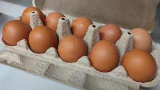 Самарцев предупредили о росте цен на яйца из-за птичьего гриппа на крупнейшей птицефабрике Центральной России