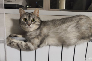 В центре Самары из-за аварии могут кратковременно остыть батареи