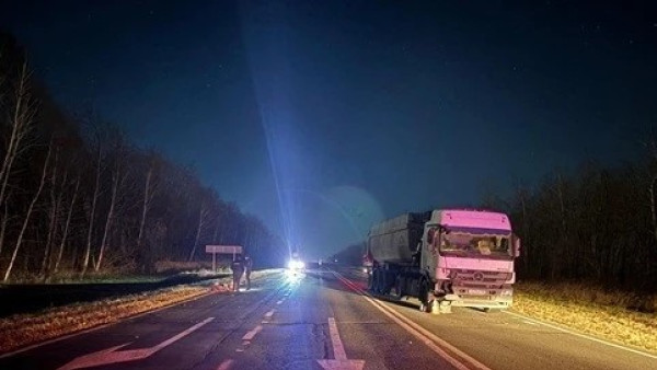 Под Самарой фура насмерть сбила двух пешеходов