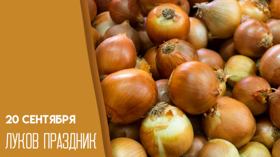 Самый страшный грех: что запрещено делать 20 сентября на Луков праздник, чтобы не навлечь беду