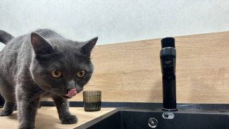 9 улиц в Самаре останутся временно без воды 13 марта