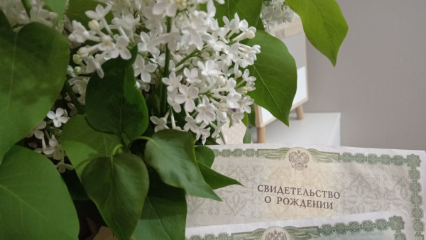 Самарцам назвали самые популярные в январе 2026 года имена для новорождённых