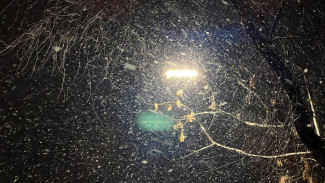 Уходим в минус: Самарская область планомерно движется в сторону зимы 