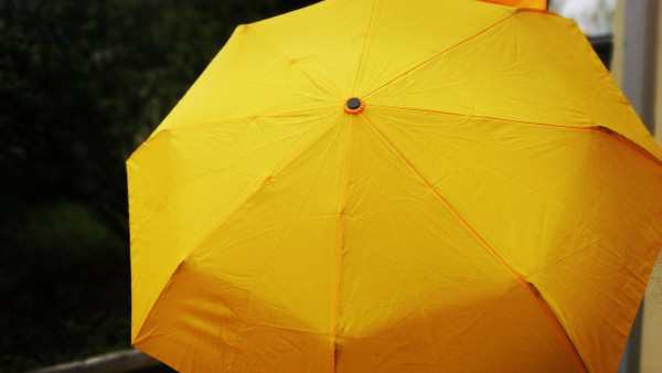 Зонты обязательны: что ещё обещают синоптики 21 сентября 2022 года