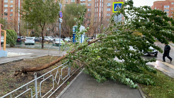 МЧС предупреждает об усилении ветра 18 ноября в Самарской области