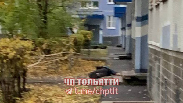 Труп у подъезда обнаружили в Тольятти 24 октября