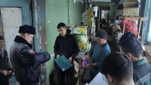 В Тольятти задержано 7 правонарушителей-мигрантов