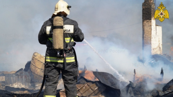 В Самаре при пожаре в частном доме на ул. Надъярной погиб мужчина