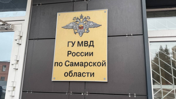 В МВД прокомментировали ситуацию с толпой мигрантов в Самаре