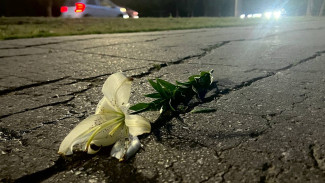В Самарской области пьяному водителю, сбежавшему после смертельного ДТП, дали 8,5 лет строгого режима