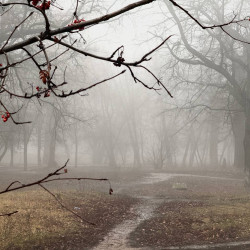 В Самарской области объявили желтый уровень опасности 2 декабря