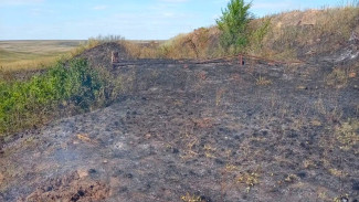 Под Самарой загорелась сухая трава на площади 500 квадратов