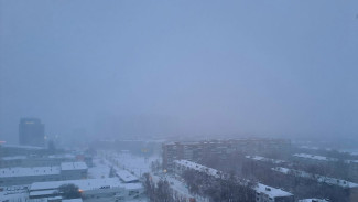 Самару ожидает туманное будущее 21 января