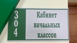 Голосование за лучший класс может украсть личные данные у самарских родителей 