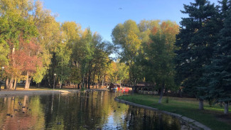 Синоптики пообещали самарцам аномальную осень в 2024 году