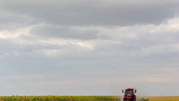 В Самарской области в 2026 году высадят больше 5 миллионов сеянцев на 850 гектарах