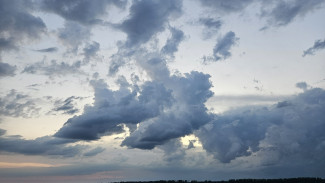 В Самаре ввели НМУ 1 степени с 20 по 22 августа