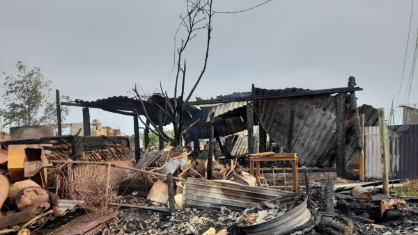 Двое погибли, один пострадал: в Самарской области произошел страшный пожар