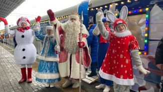 Дед Мороз пропустит Самару в новогоднем туре 2025