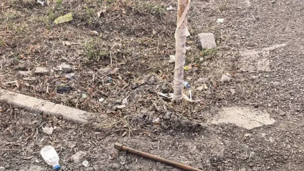 В Самаре коммунальщики достали из канализации на улице Мяги необычный предмет