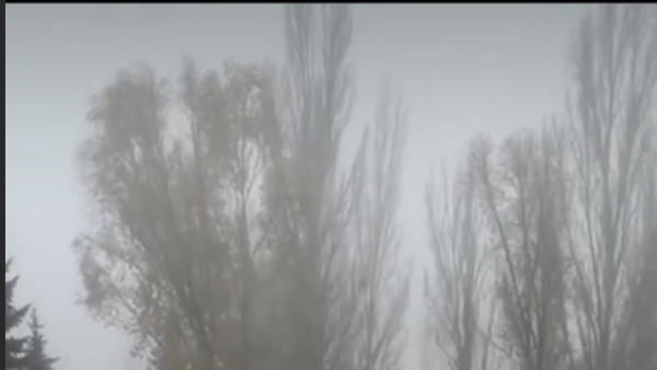 В Самаре в парке Победы запустили новый сухой фонтан в тумане