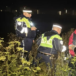 Под Самарой 19 августа спасли потерявшуюся в лесу 79-летнюю пенсионерку 