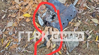 На Воронежских озёрах в Самаре неизвестные поедают диких уток